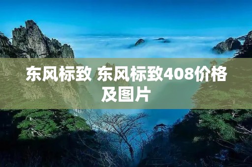 东风标致 东风标致408价格及图片