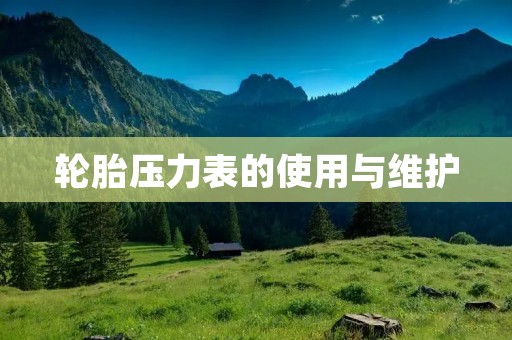 轮胎压力表的使用与维护 轮胎压力表的使用与维护