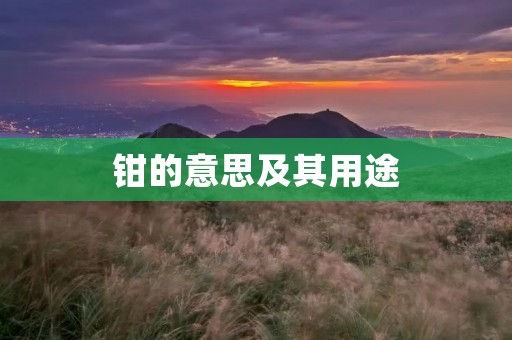 钳的意思及其用途