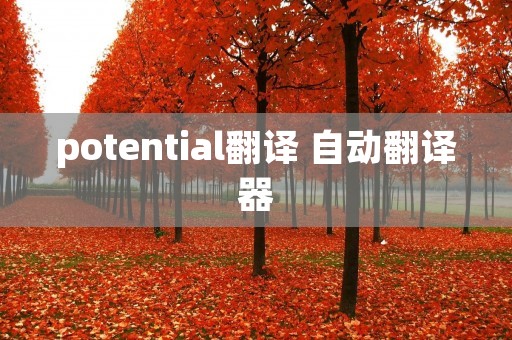 potential翻译 自动翻译器