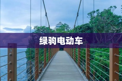 绿驹电动车:环保出行的新选择