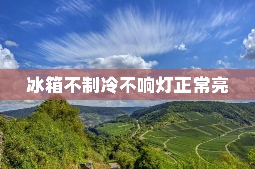 冰箱不制冷不响灯正常亮:原因与解决办法 冰箱不制冷不响灯正常亮:原因与解决办法