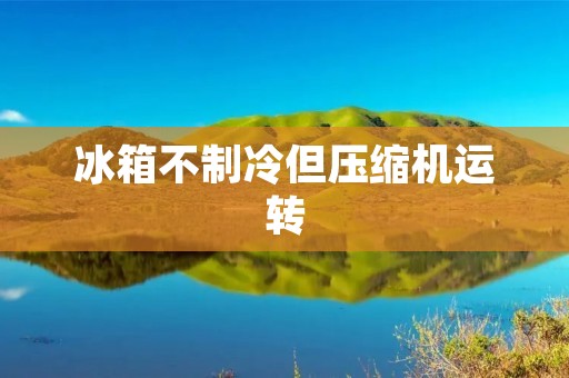 冰箱不制冷但压缩机运转:原因与解决方法 冰箱不制冷但压缩机运转:原因与解决方法