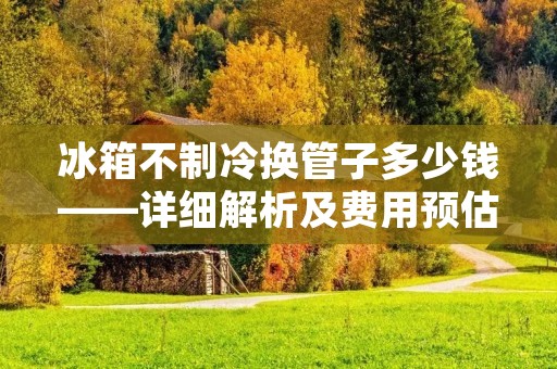 冰箱不制冷换管子多少钱——详细解析及费用预估