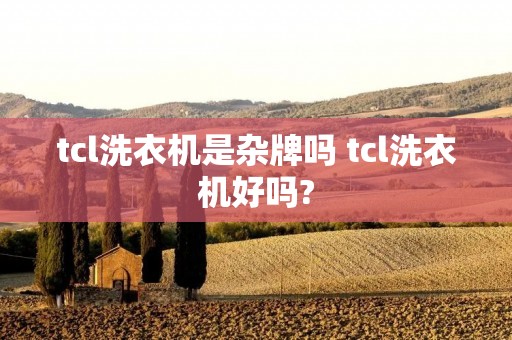tcl洗衣机是杂牌吗 tcl洗衣机好吗? tcl洗衣机是杂牌吗 tcl洗衣机好吗?