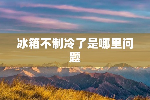 冰箱不制冷了是哪里问题