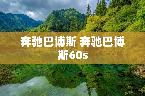 奔驰巴博斯 奔驰巴博斯60s