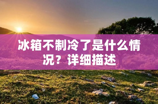 冰箱不制冷了是什么情况?详细描述: