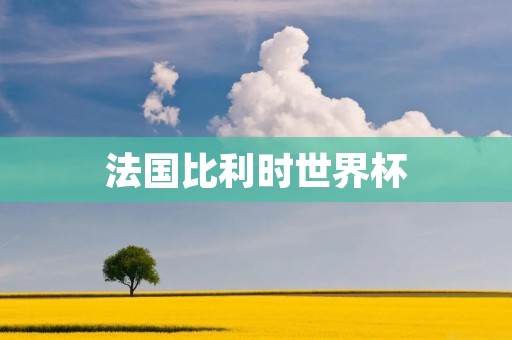 法国比利时世界杯：双方激烈角逐的巅峰对决