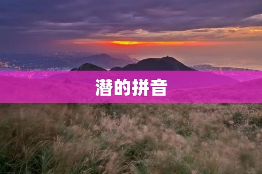 潜的拼音