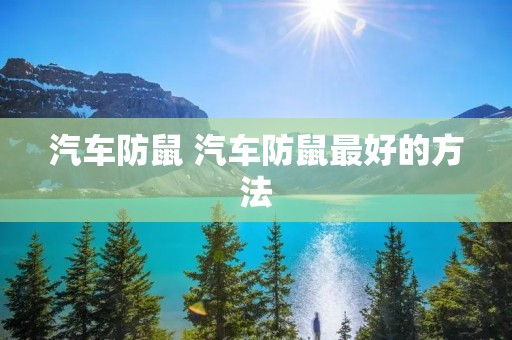 汽车防鼠 汽车防鼠最好的方法 汽车防鼠 汽车防鼠最好的方法