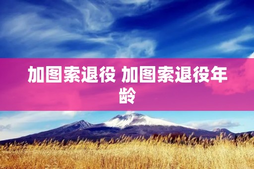 加图索退役 加图索退役年龄