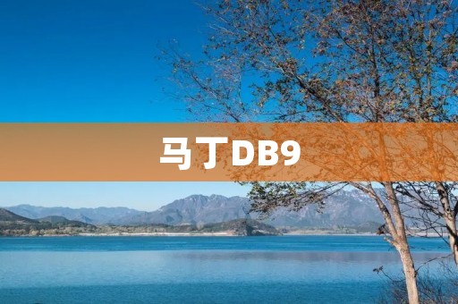 马丁DB9:奢华与性能的完美结合 马丁DB9:奢华与性能的完美结合