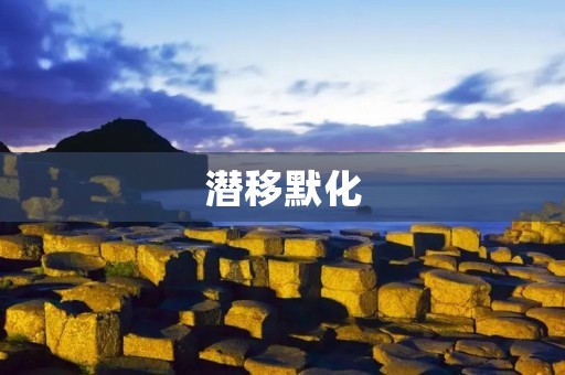潜移默化:影响力的无声力量 潜移默化:影响力的无声力量