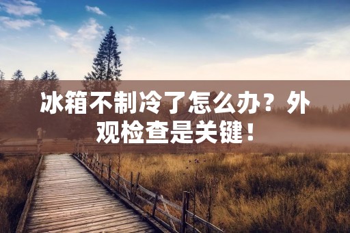冰箱不制冷了怎么办？外观检查是关键！