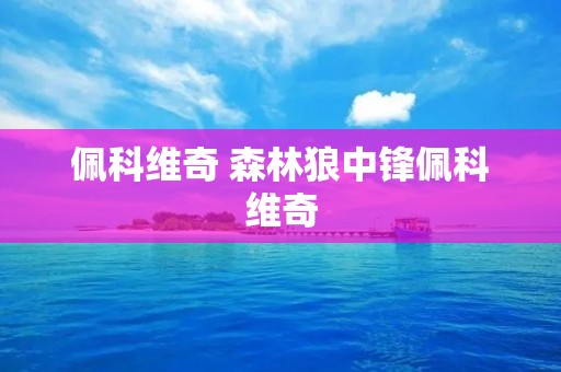 佩科维奇 森林狼中锋佩科维奇