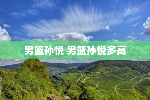 男篮孙悦 男篮孙悦多高