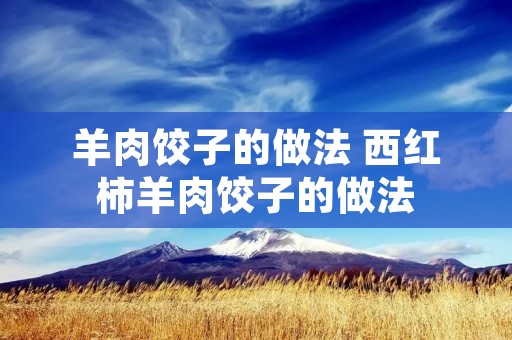 羊肉饺子的做法 西红柿羊肉饺子的做法