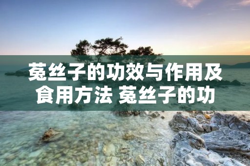 菟丝子的功效与作用及食用方法 菟丝子的功效与作用及食用方法壮阳