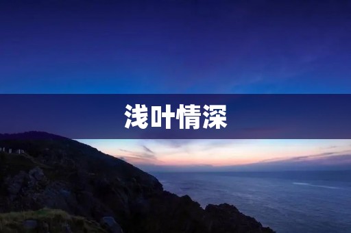 浅叶情深:一段不平凡的爱情故事
