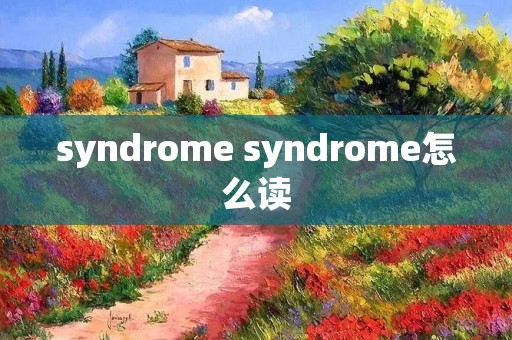 syndrome syndrome怎么读