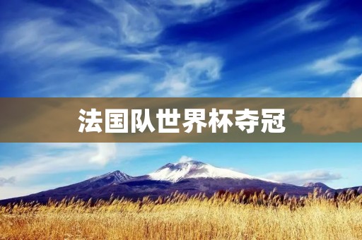 法国队世界杯夺冠:传奇的背后 法国队世界杯夺冠:传奇的背后