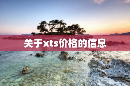 关于xts价格的信息