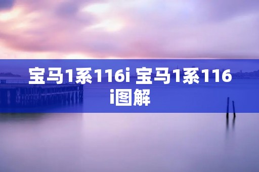 宝马1系116i 宝马1系116i图解