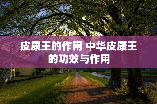 皮康王的作用 中华皮康王的功效与作用
