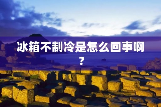 冰箱不制冷是怎么回事啊? 冰箱不制冷是怎么回事啊?