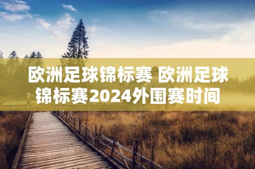 欧洲足球锦标赛 欧洲足球锦标赛2024外围赛时间