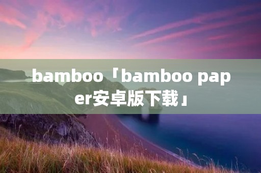 bamboo「bamboo paper安卓版下载」