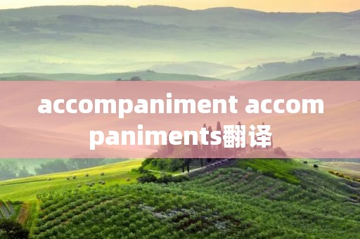 accompaniment accompaniments翻译