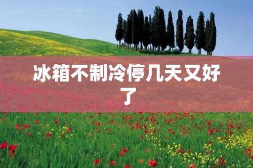 冰箱不制冷停几天又好了：原因及解决方法