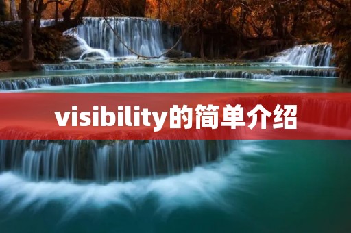 visibility的简单介绍 visibility的简单介绍