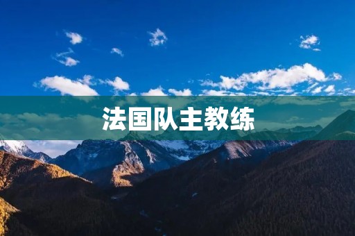 法国队主教练：执教智慧与领导力的典范