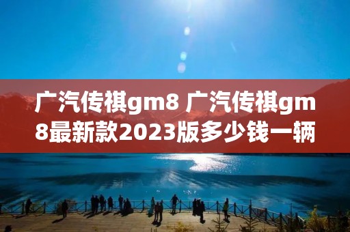 广汽传祺gm8 广汽传祺gm8最新款2023版多少钱一辆