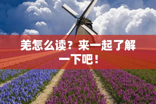 羌怎么读?来一起了解一下吧!