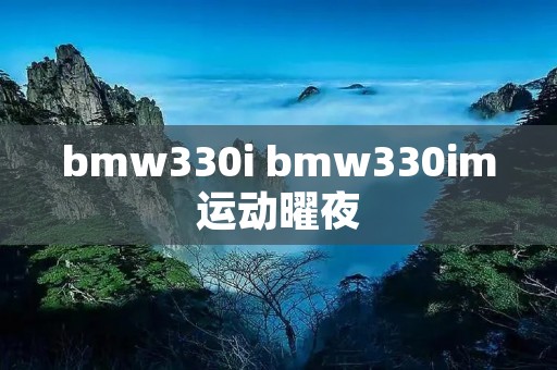 bmw330i bmw330im运动曜夜