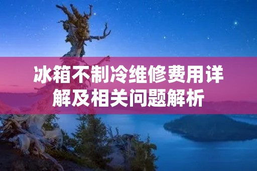 冰箱不制冷维修费用详解及相关问题解析 冰箱不制冷维修费用详解及相关问题解析