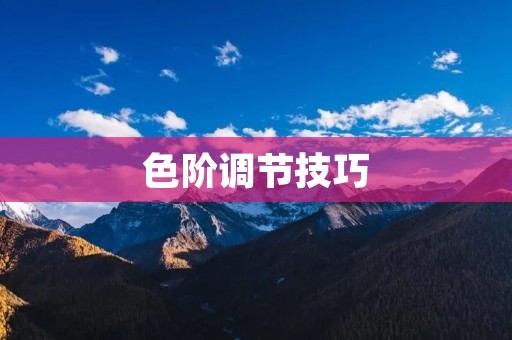 色阶调节技巧:打造精彩细腻的图像效果