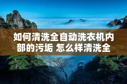 如何清洗全自动洗衣机内部的污垢 怎么样清洗全自动洗衣机里的污垢