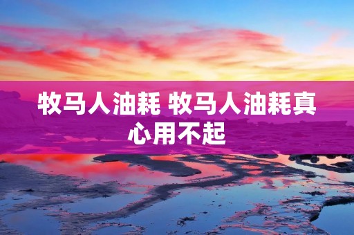 牧马人油耗 牧马人油耗真心用不起
