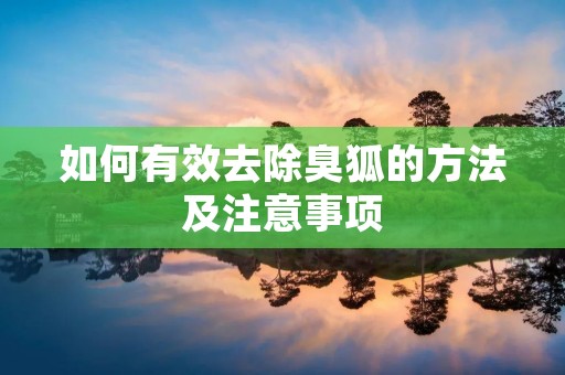 如何有效去除臭狐的方法及注意事项