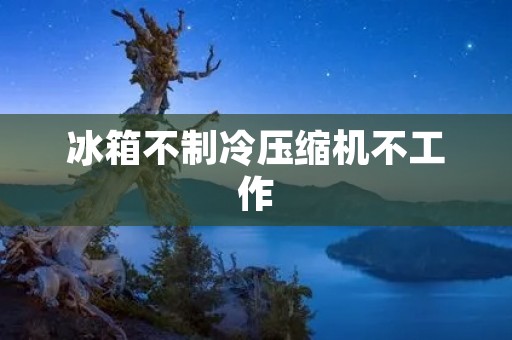 冰箱不制冷压缩机不工作:原因与解决方法 冰箱不制冷压缩机不工作:原因与解决方法