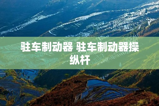 驻车制动器 驻车制动器操纵杆