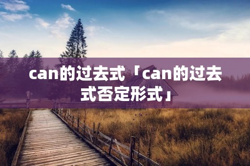 can的过去式「can的过去式否定形式」