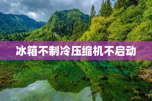 冰箱不制冷压缩机不启动:原因及解决方法 冰箱不制冷压缩机不启动:原因及解决方法