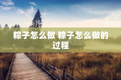 粽子怎么做 粽子怎么做的过程 粽子怎么做 粽子怎么做的过程