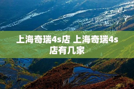 上海奇瑞4s店 上海奇瑞4s店有几家